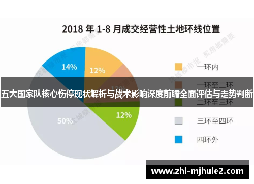 五大国家队核心伤停现状解析与战术影响深度前瞻全面评估与走势判断