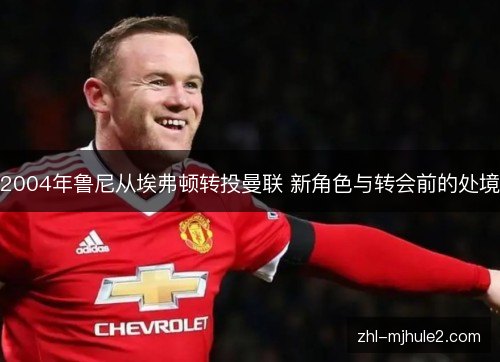 2004年鲁尼从埃弗顿转投曼联 新角色与转会前的处境